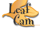 Indiana Leaf Cam