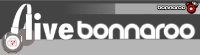 Live bonnaroo