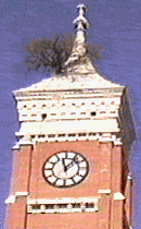 Greensburg's Tree on the Courthouse Tower